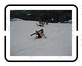 Sezon18_86 * 2816 x 2112 * (1.1MB)